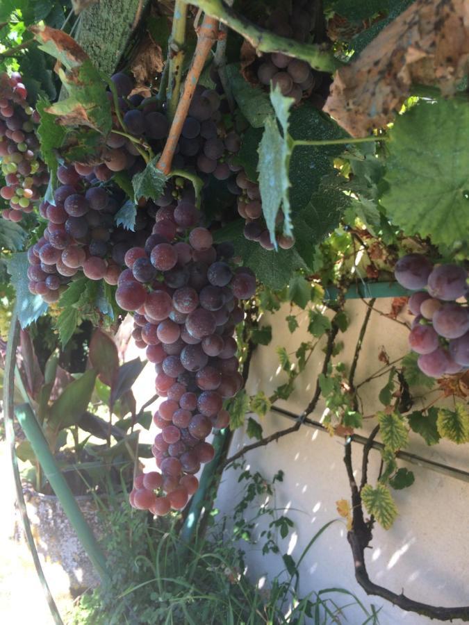 Les Galineaux Villa La Roquille Dış mekan fotoğraf