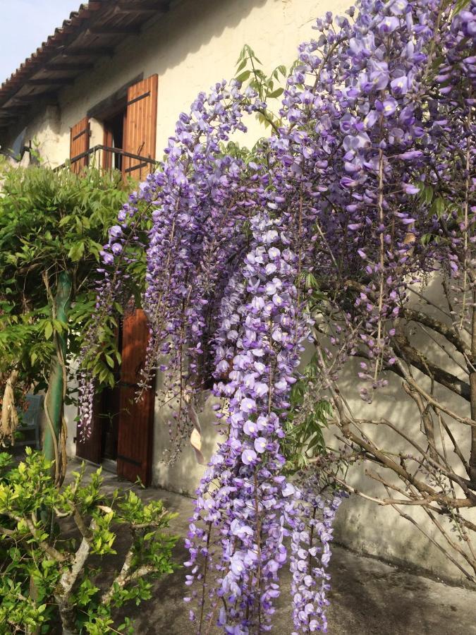 Les Galineaux Villa La Roquille Dış mekan fotoğraf
